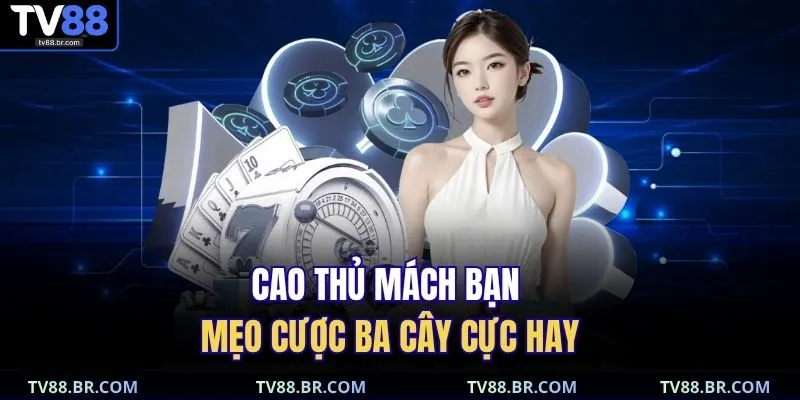 Cách Chơi Ba Cây | Bật Mí Công Thức Tăng Tỷ Lệ Thắng 80% 3 Cao thủ mách bạn mẹo cược ba cây cực hay