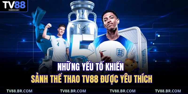 thể thao TV88 3 Những yếu tố khiến sảnh thể thao TV88 được yêu thích